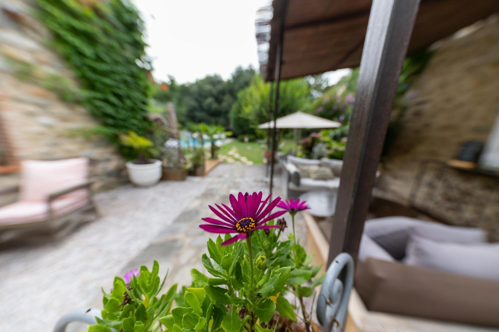 Hotel Le Mas Trilles Céret Zewnętrze zdjęcie