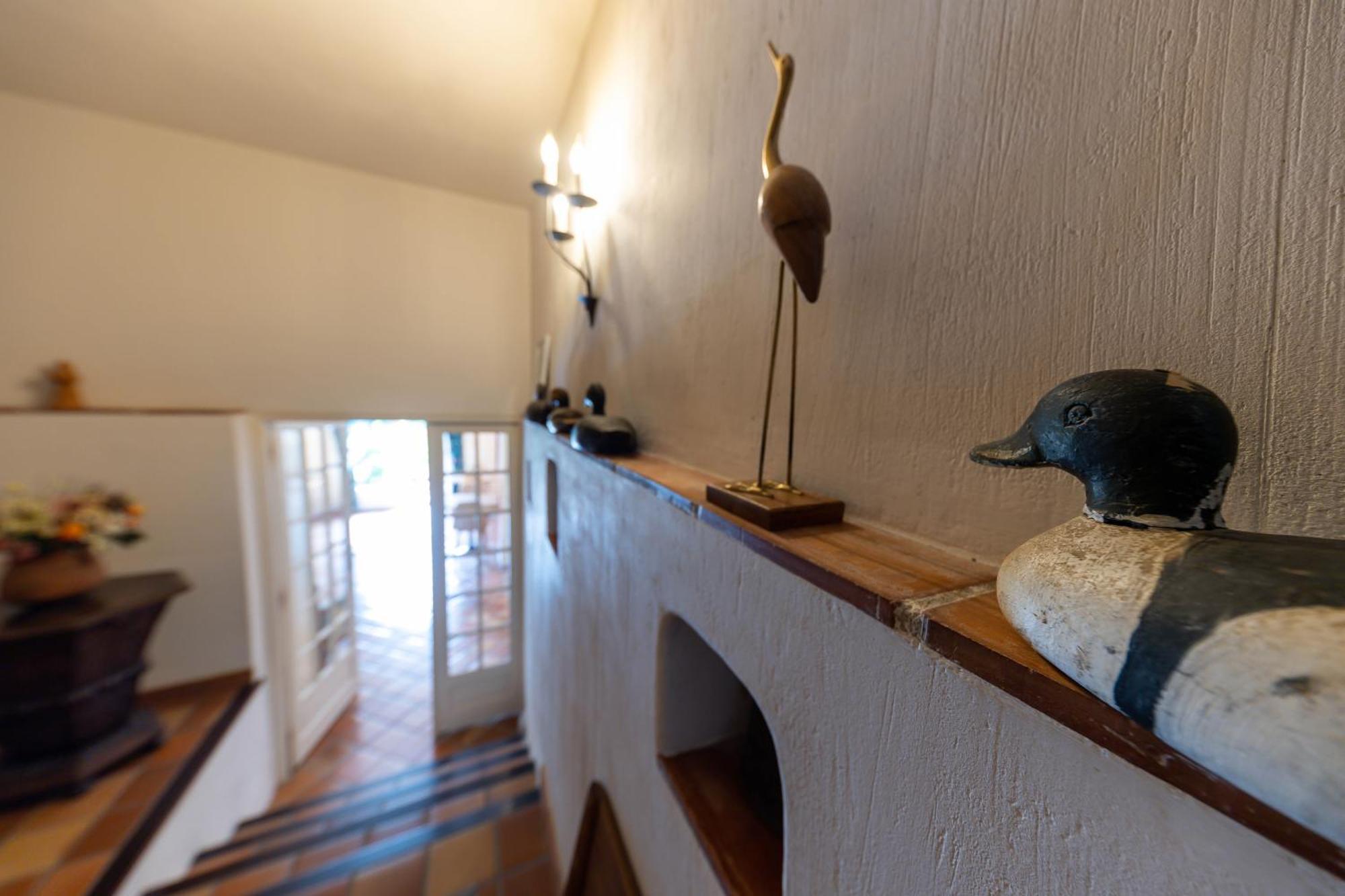 Hotel Le Mas Trilles Céret Zewnętrze zdjęcie