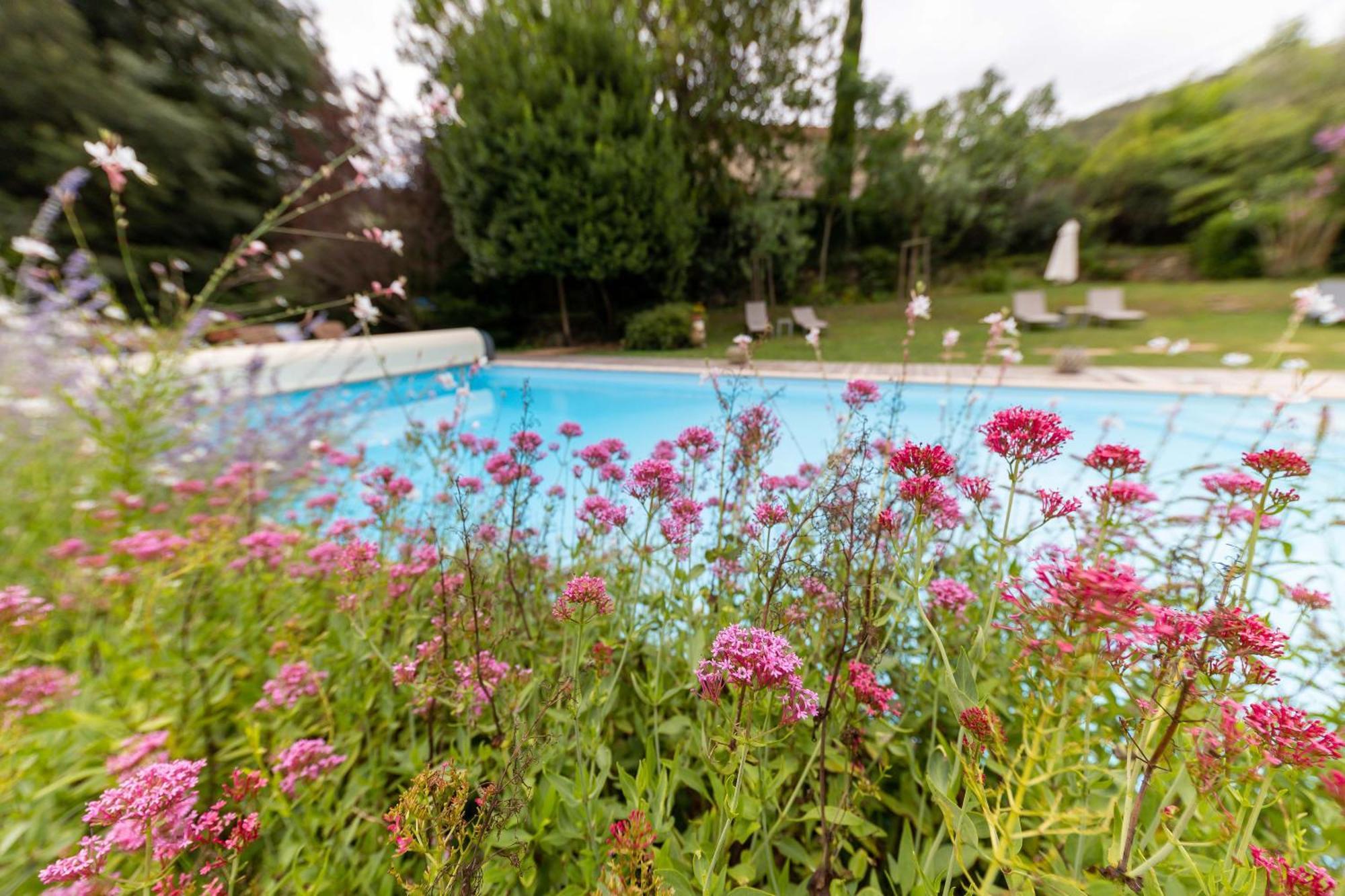 Hotel Le Mas Trilles Céret Zewnętrze zdjęcie