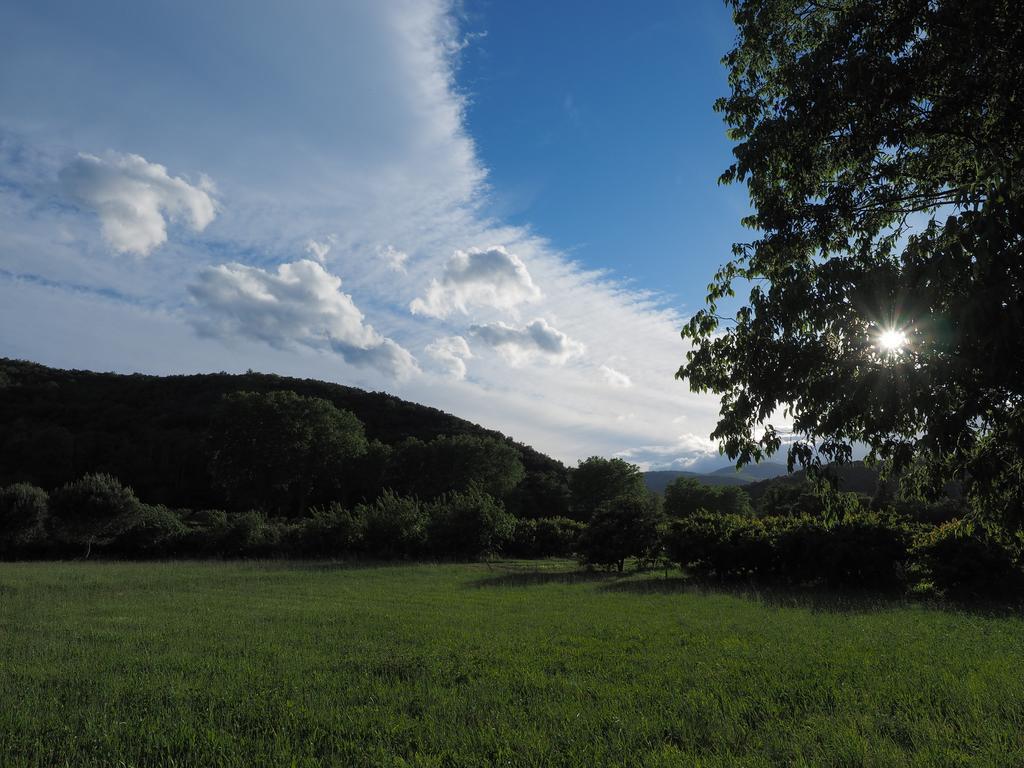 Hotel Le Mas Trilles Céret Zewnętrze zdjęcie